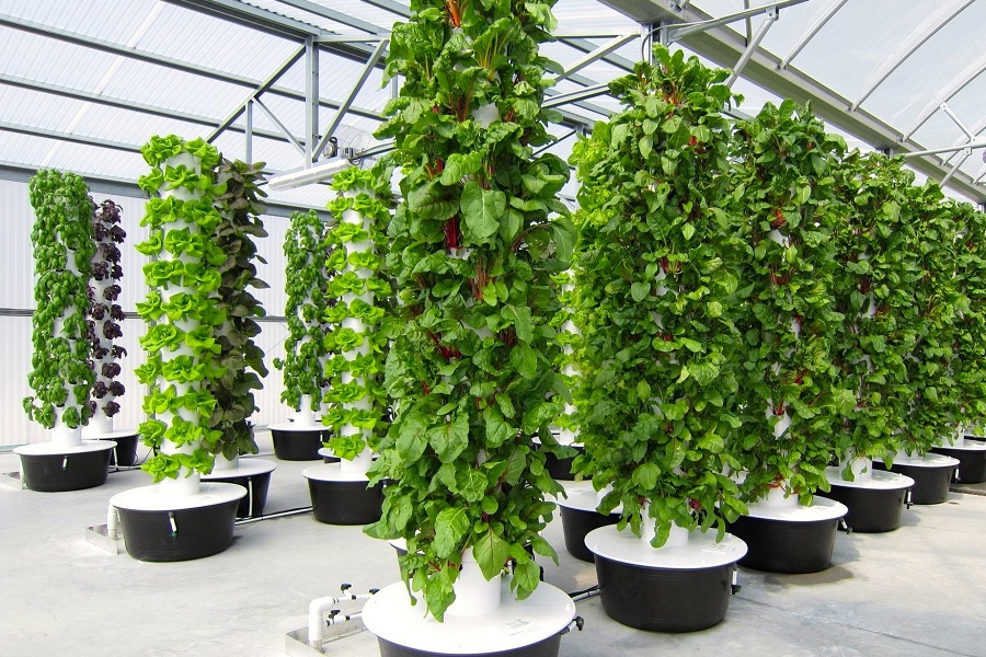 Best Vertical Hydroponic Strategies On The Market In [2022]!