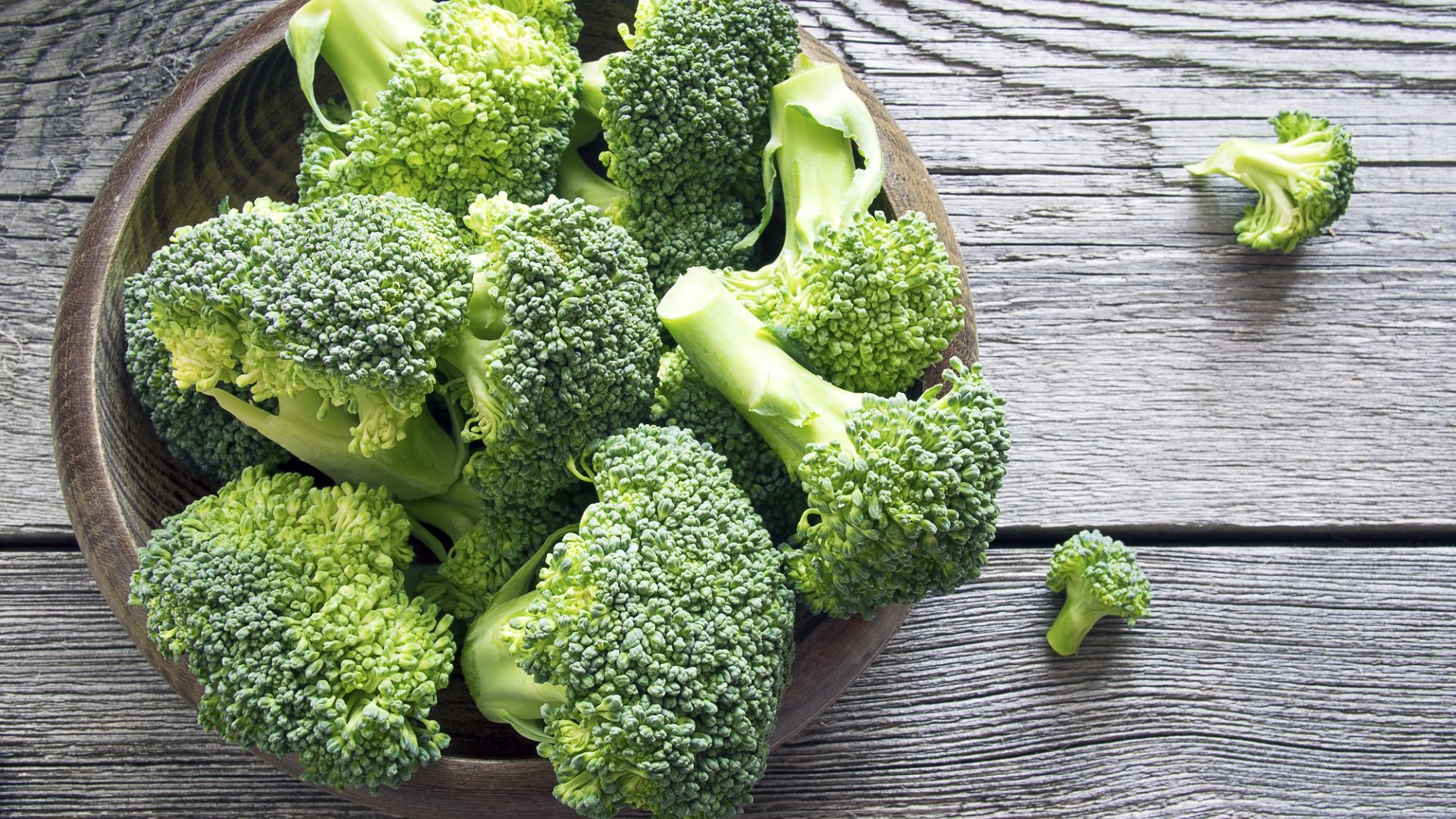 Can You Develop Broccoli in Hydroponics?