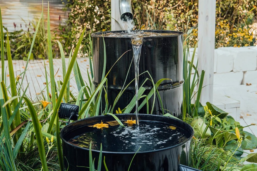 Is Rainwater Good For Hydroponics? Execs & Cons For Your Yard