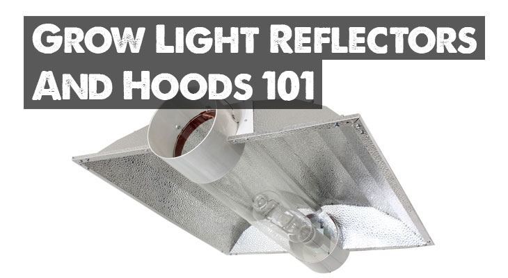 The Best Develop Delicate Reflector Hoods in 2022