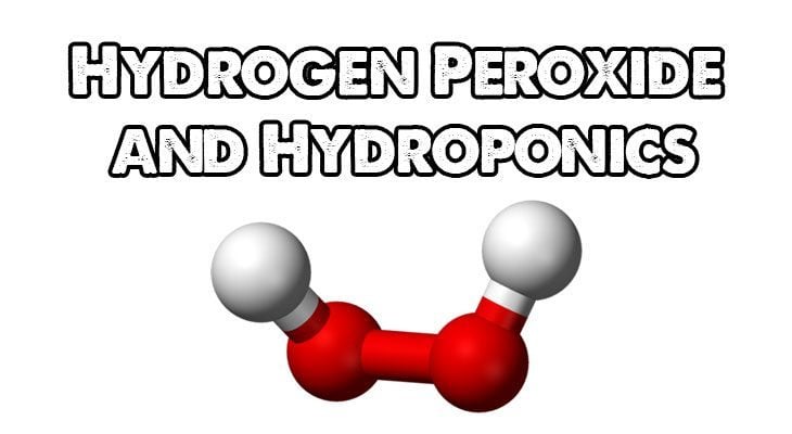 Hydrogen Peroxide (H2O2) and Hydroponics | Epic Gardening