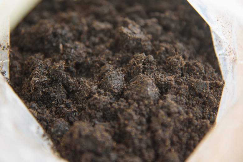 Use Peat Moss in Hydroponics and Why