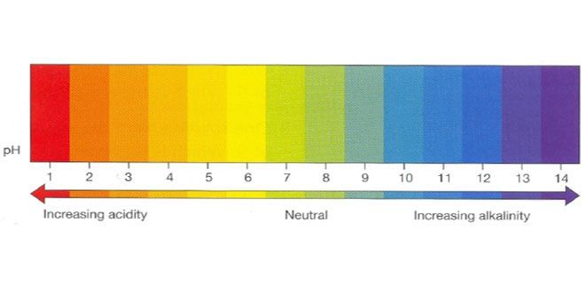 pH And Nutrient Availability: What To Know